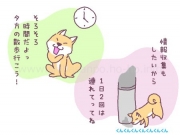 １日何回散歩に行くの？