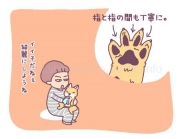 散歩から帰ってきたら