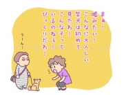 柴犬だって性格いろいろ