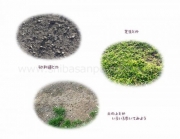 アスファルトばかりじゃなくて