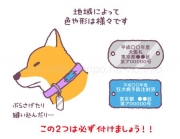 首輪に付けるもの
