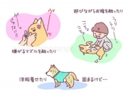子犬のうちから