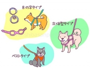 首輪とハーネスがあるけど・・・